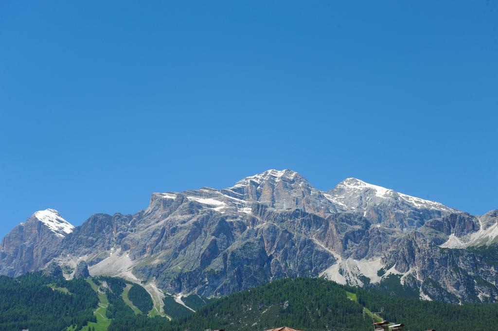 Panda Cortina d'Ampezzo