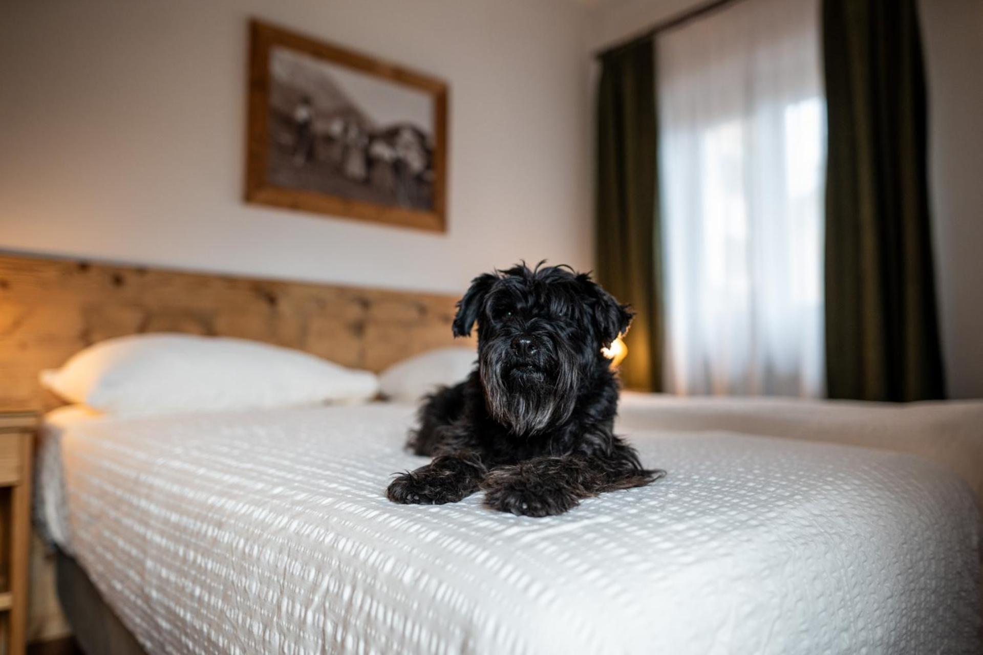 Hotel Panda Cortina- Ricarica Auto Elettriche Cortina d'Ampezzo